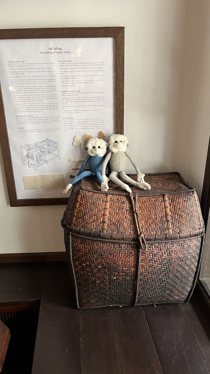 Обезьянки на коробе. Вьетнам. город Куиньён. Фото автора.