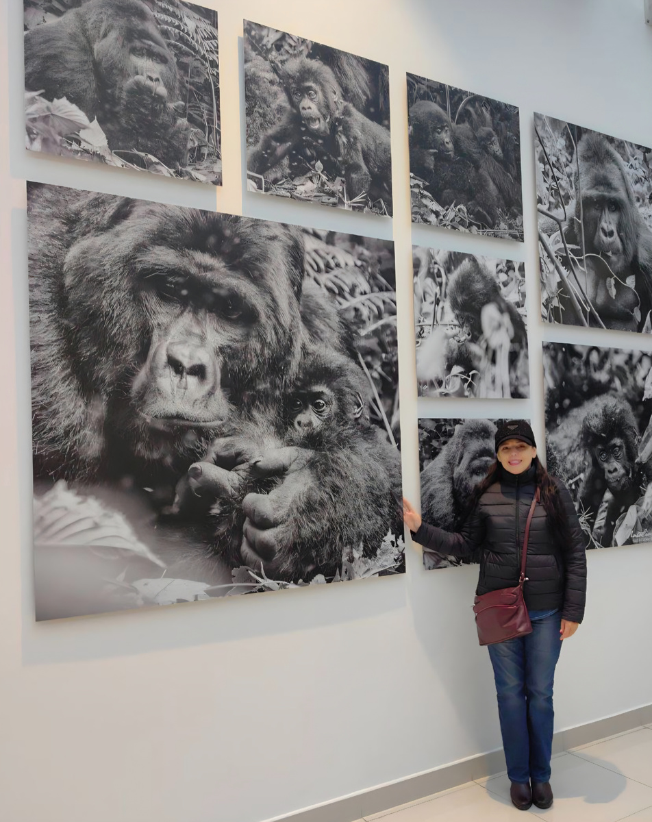 На плакате можно прочитать про каждую обезьянку, живущую в центре