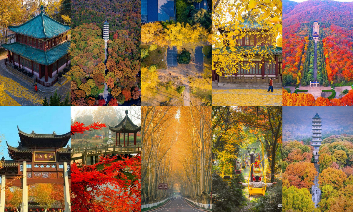 Когда осень крадётся в Нанкин, старая столица зарделась под золотистым покрывалом. Этот «Город шести династий», когда-то известный как Цзиньлин, превращается в ожившую картину: улицы обрамлены янтарными платанами, храмы мерцают в мягком солнечном свете, а река Циньхуай тихо течёт мимо обветшалых мостов. Осень в Нанкине не шумная и не спешная; она поэтична, ностальгична и немного нежна – словно чтение книги в шёлковом переплёте с золотыми страницами. Местные жители называют это время года «самым романтичным под утунами».