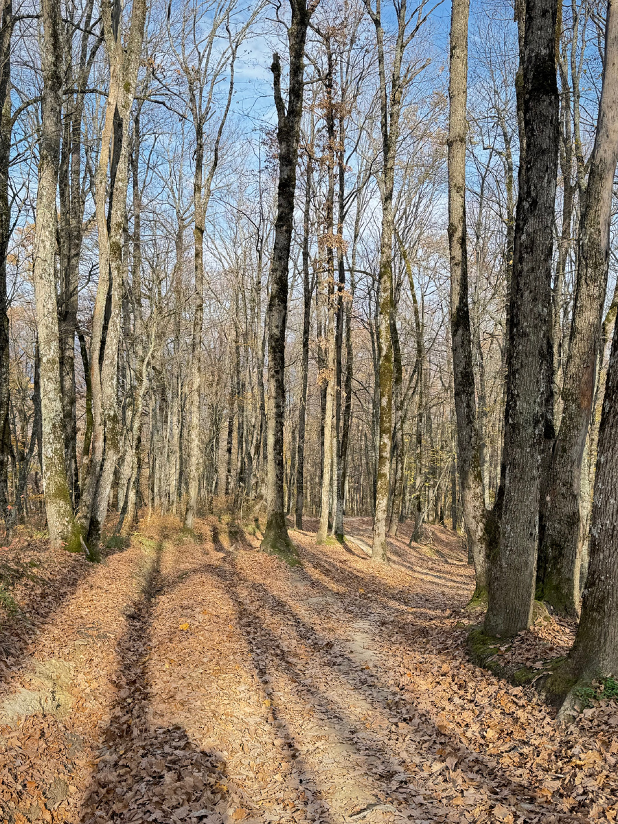 Тропинка на вершину.