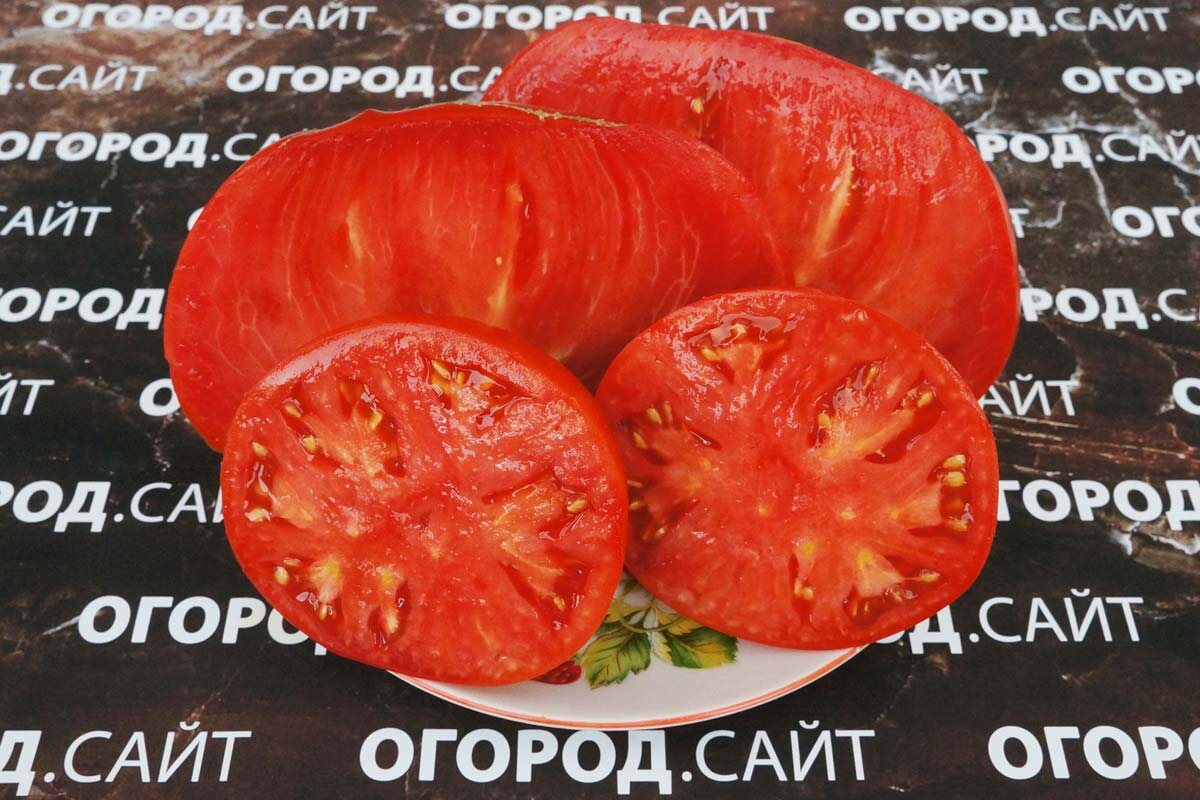 Страстное сердце Энтони, ОГОРОД.САЙТ