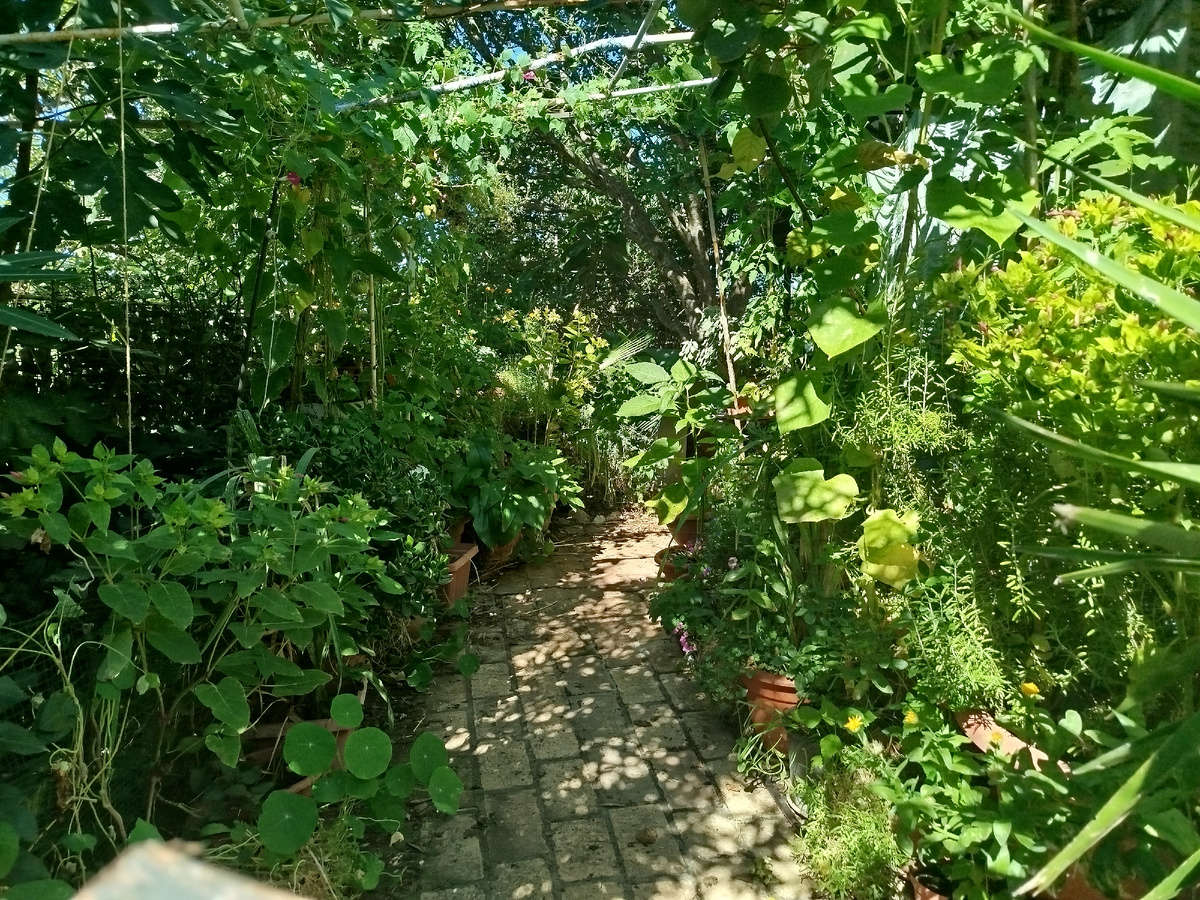 Фото автора. Передний двор в сентябре 2025г.