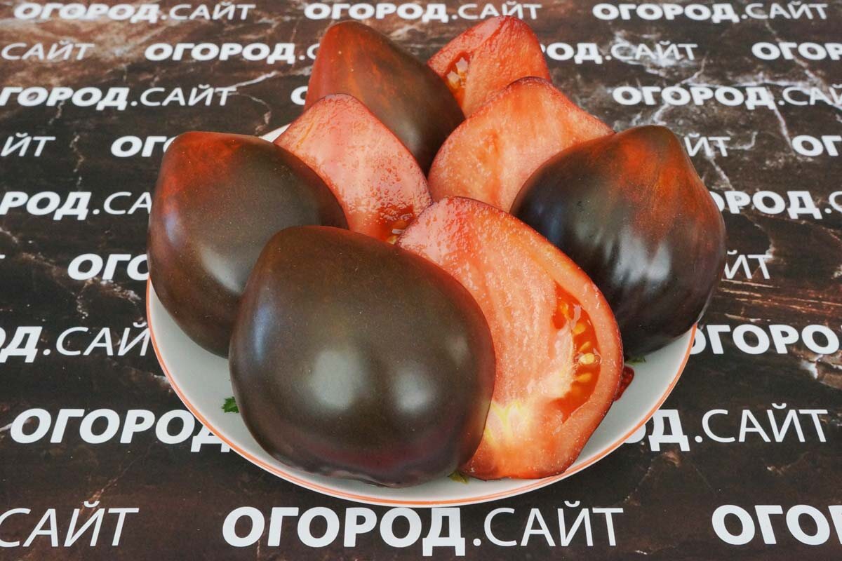 Бронзовые носики сержанта Пепера, семена на сайте ОГОРОД.САЙТ