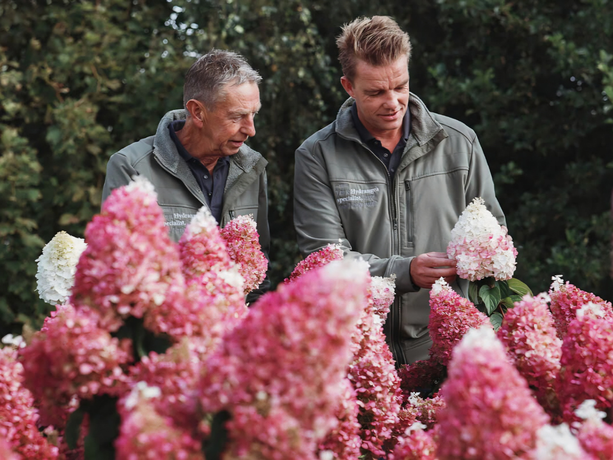 Фото с официального сайта компании «Living Creations»