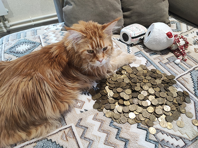 Звенящая неделя. В Тверской области жители поменяли свыше 5,7 млн рублей монетами