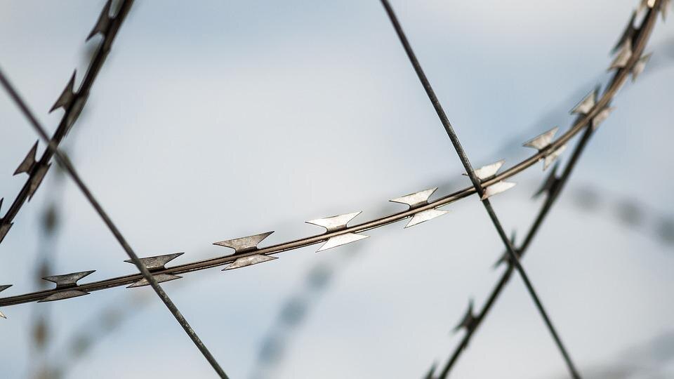    Фото: pixabay.com