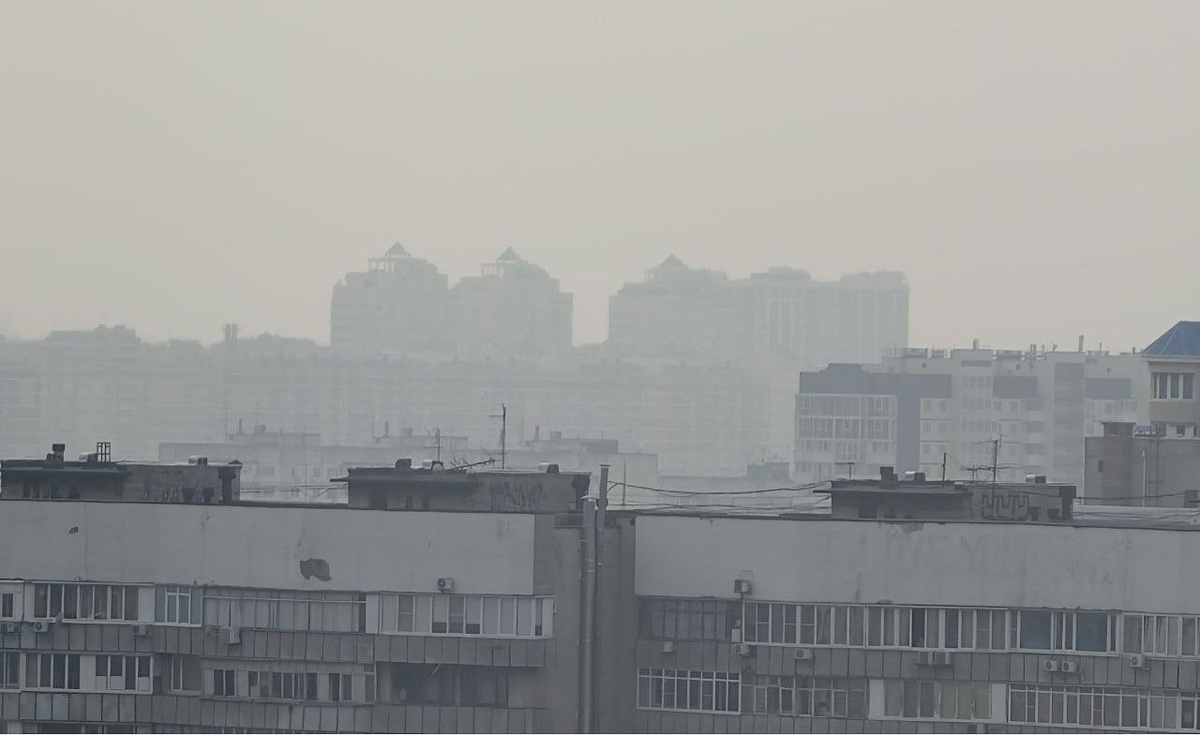    Фото t.me/typodar