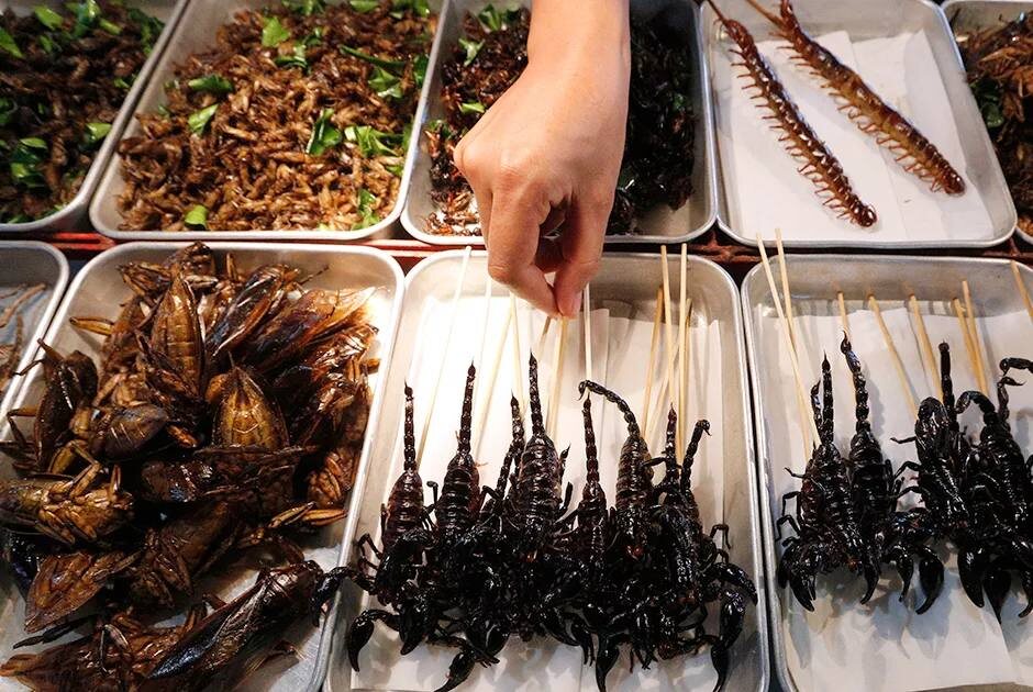 Источник фото: agrifoodtoday.it