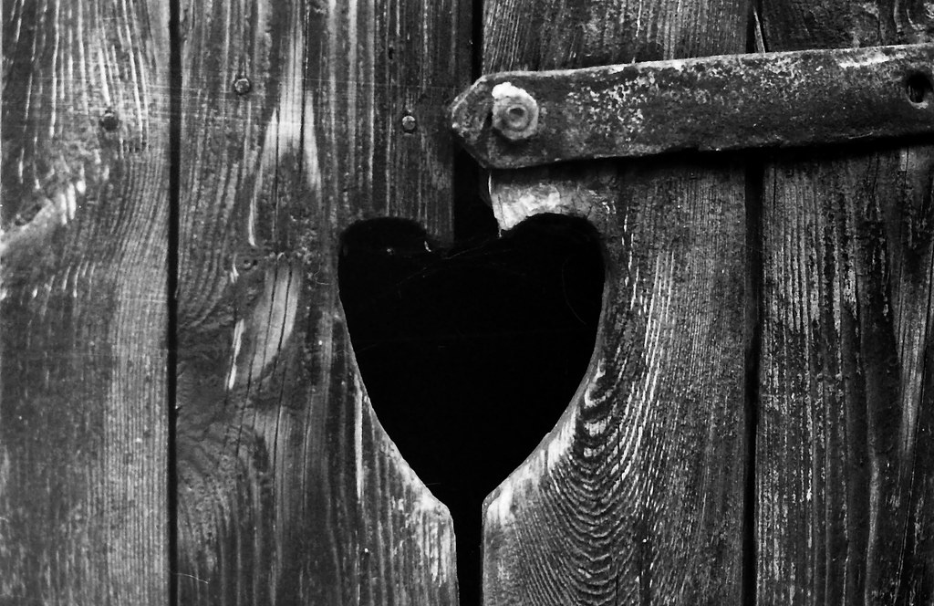 Фото из Интернета 