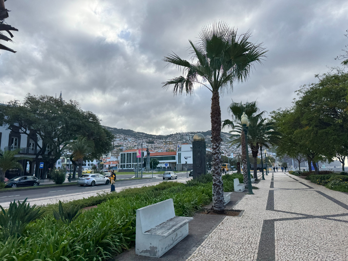 Вдоль берега океана