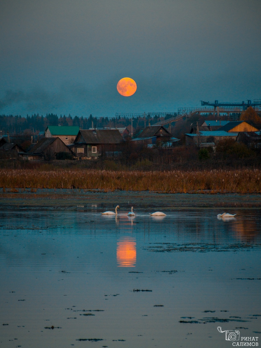 автор фото и текста Ринат Салимов
