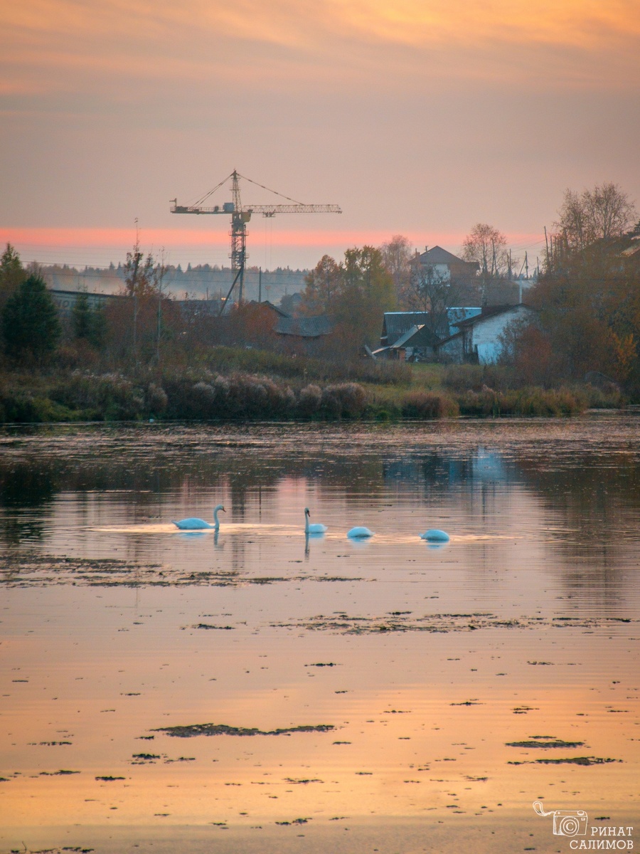 автор фото и текста Ринат Салимов