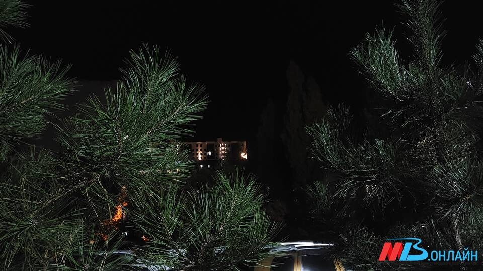    Фото: МТВ.ОНЛАЙН / Елизавета Денисова