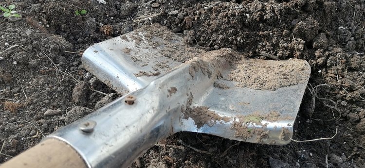    Фото: Оксана Котова/Россельхозцентр Владимир