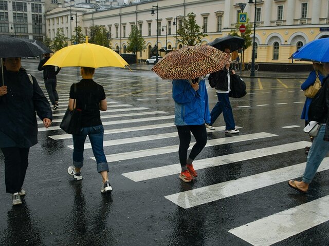    Фото: Москва 24/Антон Великжанин