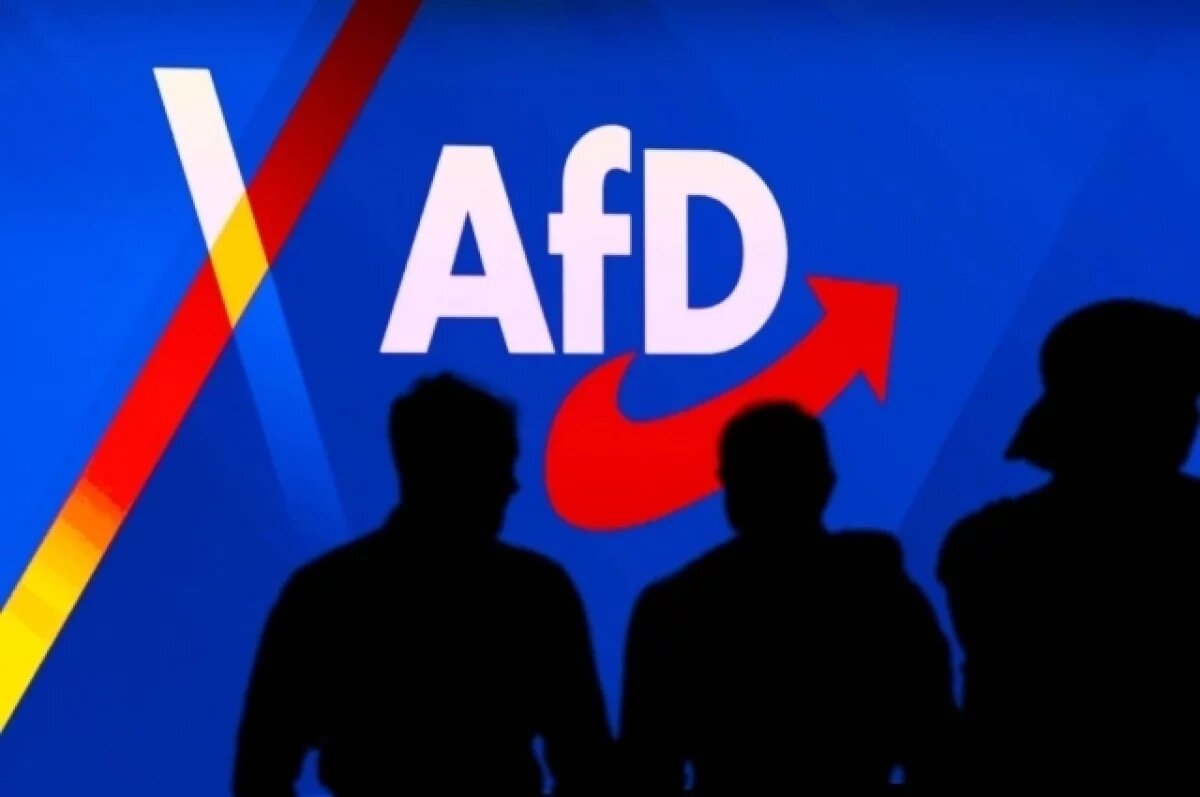    ARD: два депутата от АдГ планируют приехать в РФ для активизации контактов