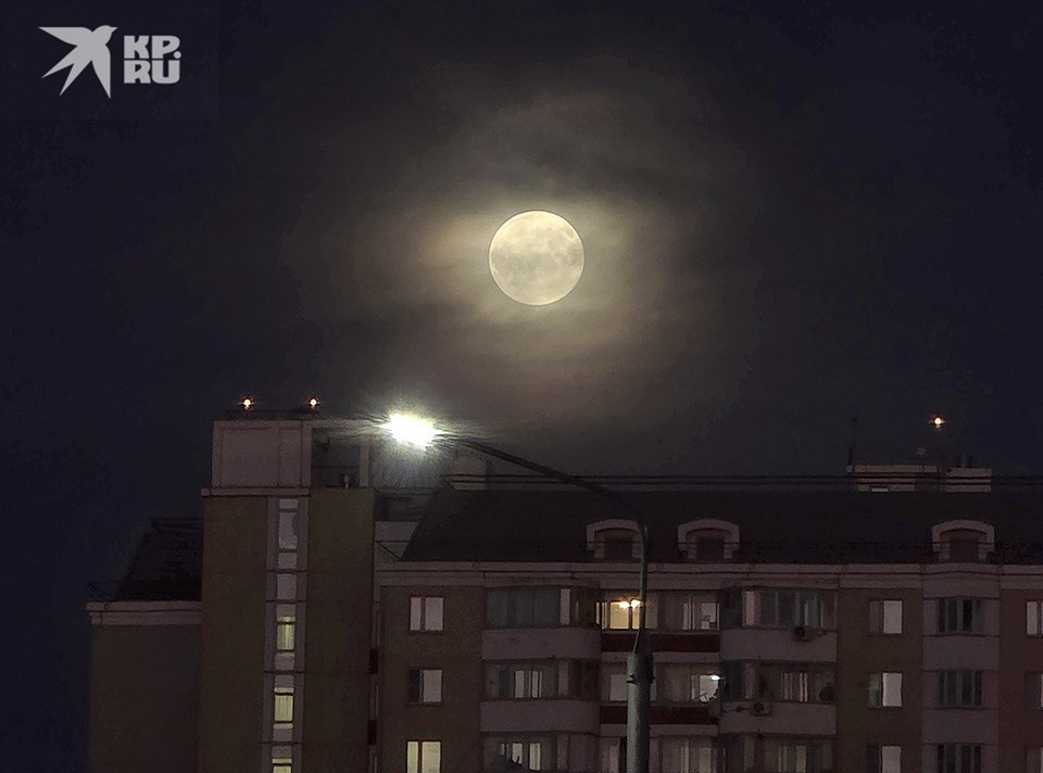  Фото: леонид