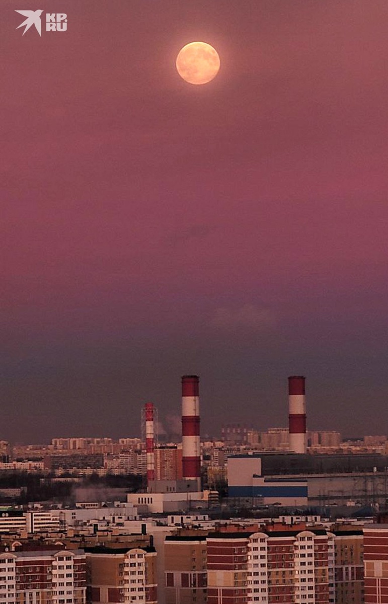  Андрей МИНАЕВ