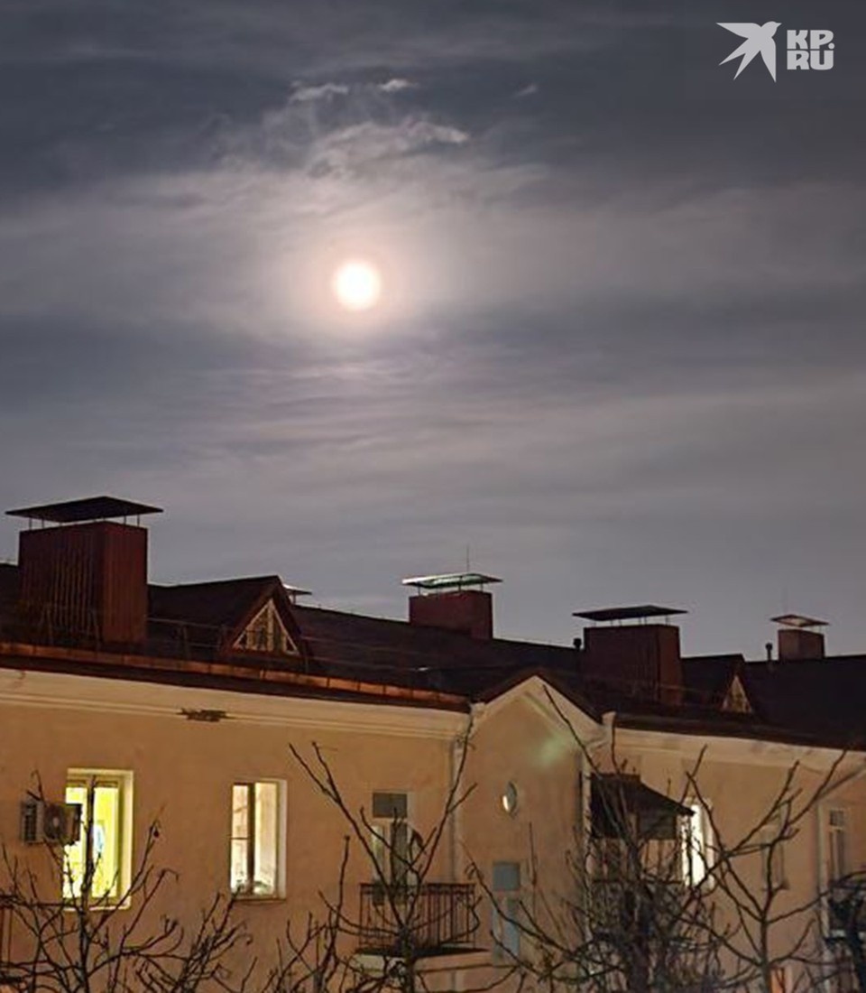  Екатерина МАРТИНОВИЧ