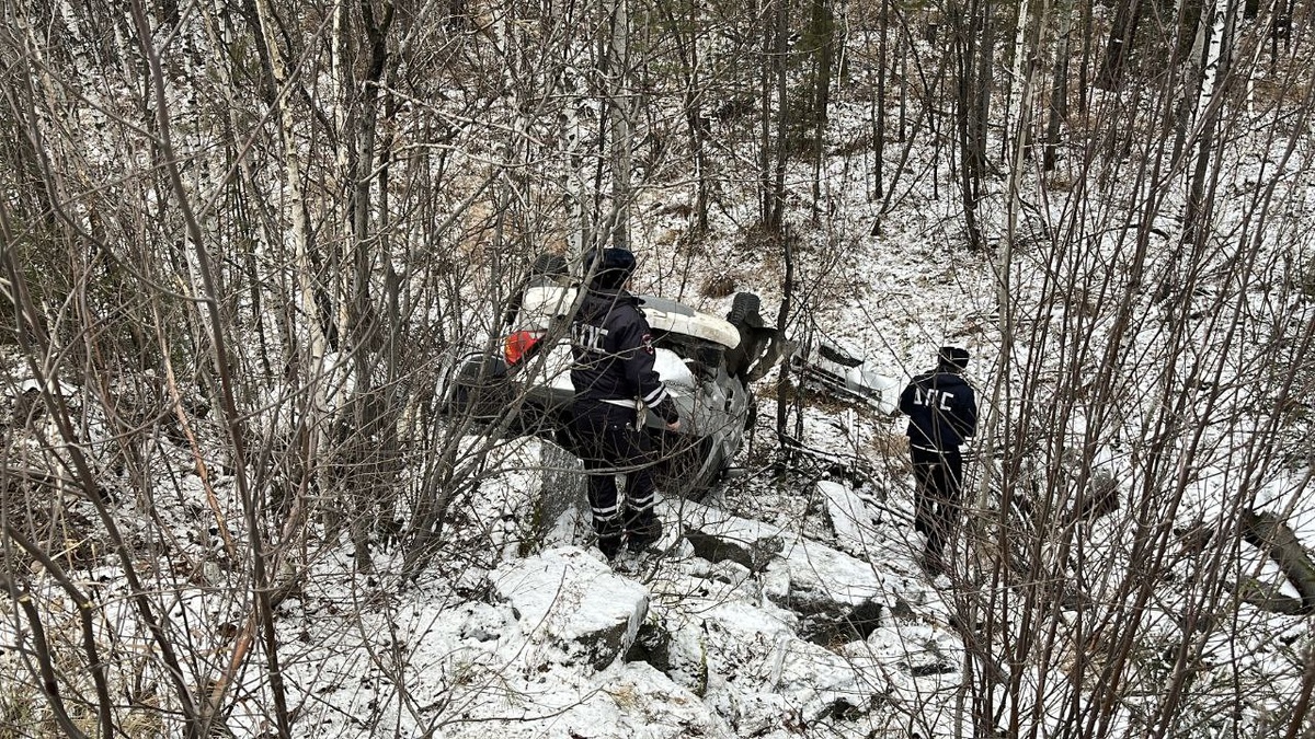     Фото: Госавтоинспекция Свердловской области