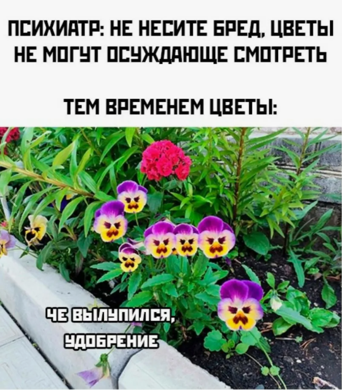 А еще есть Парейдолия — это когда человек видит образы там, где их нет.