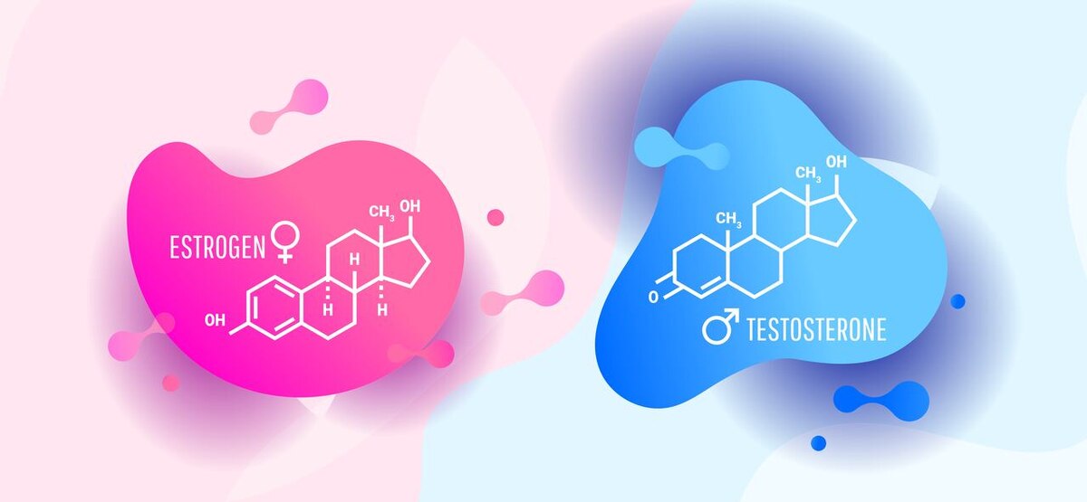 Баланс гормонов