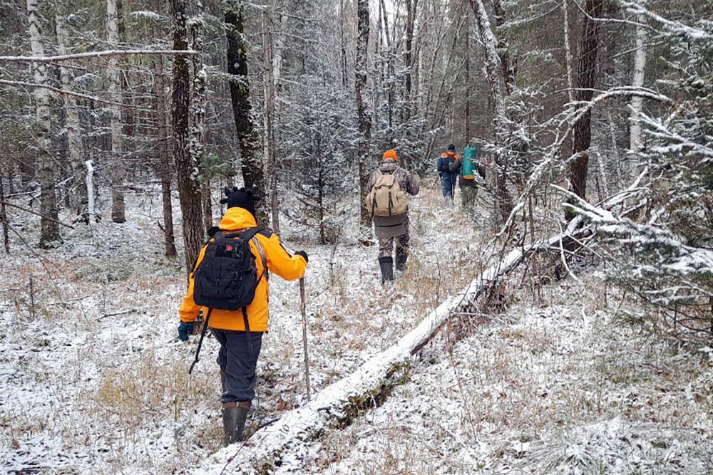    © ДПСО "ЛизаАлерт" Красноярского края