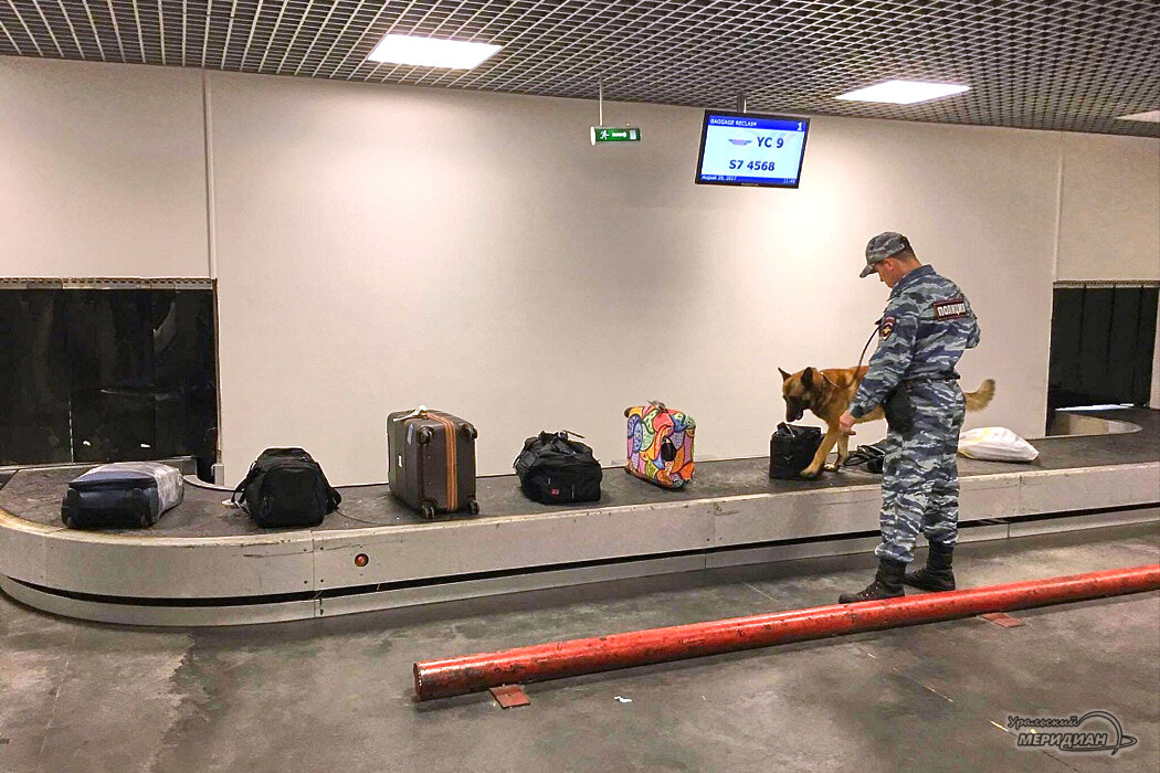    Фото Александр Аникин © ИА «Уральский меридиан»