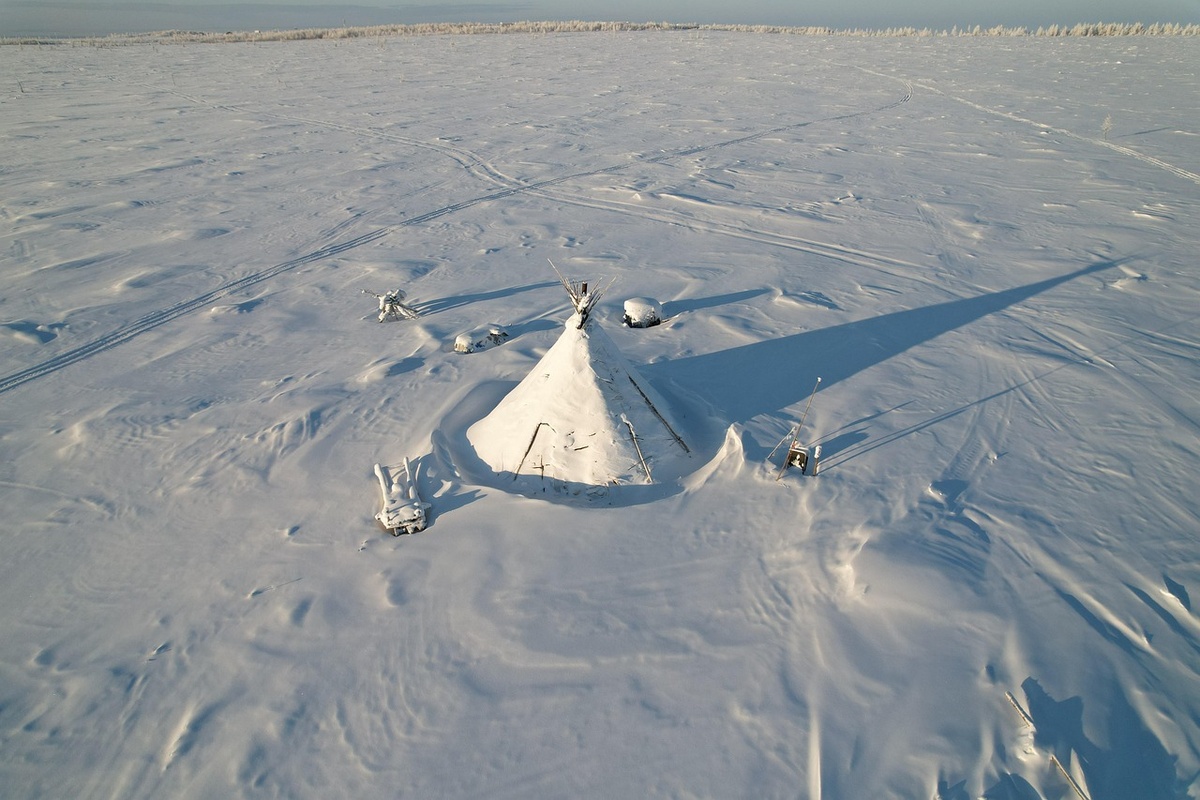 Изображение Diaz Misbakhov с сайта Pixabay