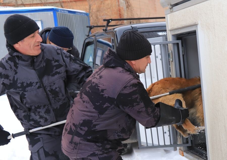     / Источник: © Денис Абрамов/РИА Новости