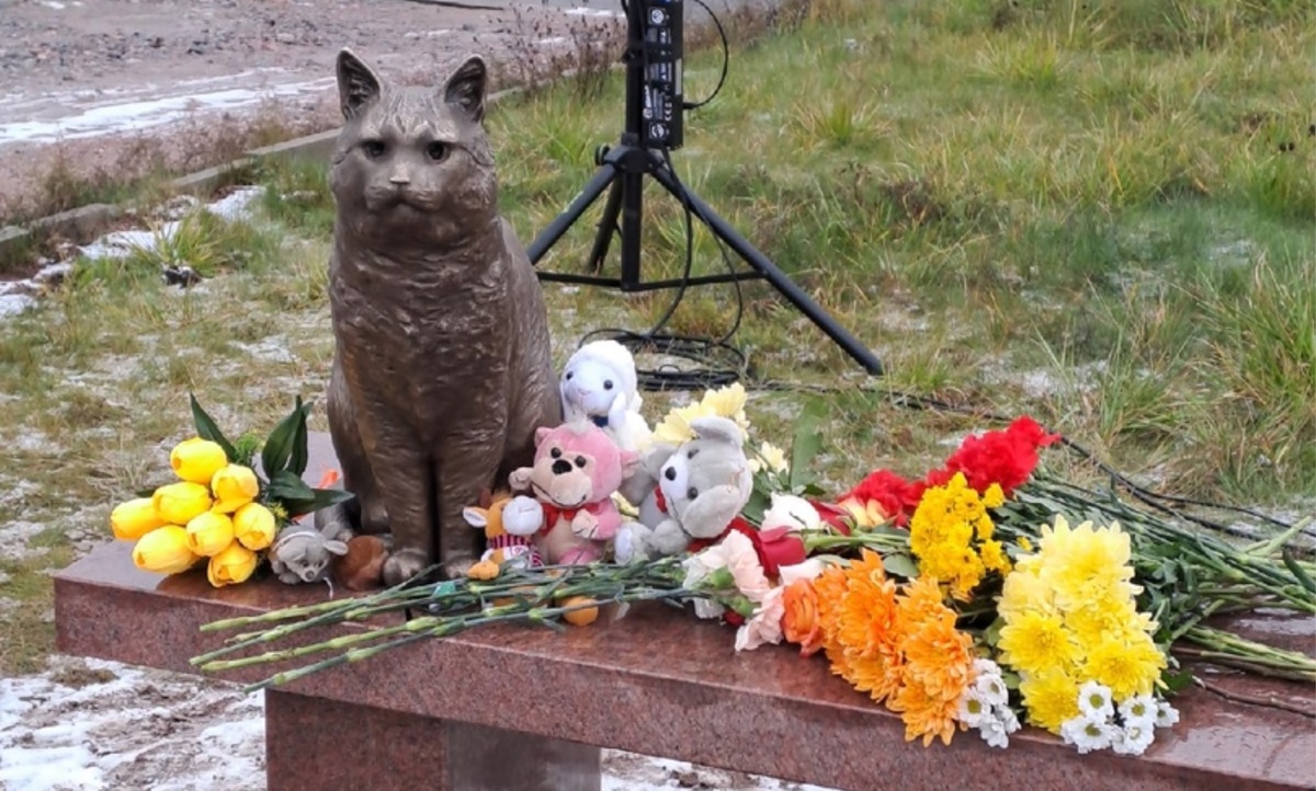 Источник фото: https://region29.ru/2022/11/07/6368a21a41197fdfff48b912.html