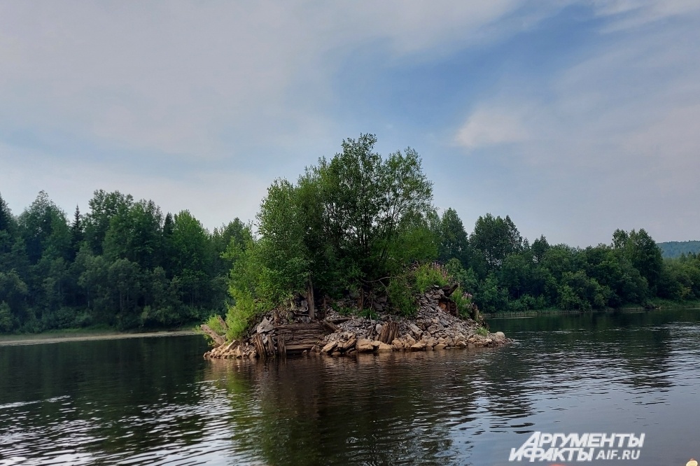    Фото: АиФ/ Марина Масленникова