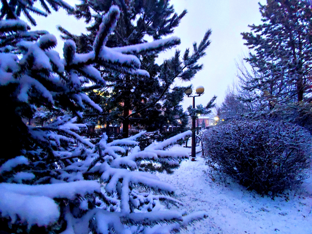 С утра снег Фото автора 