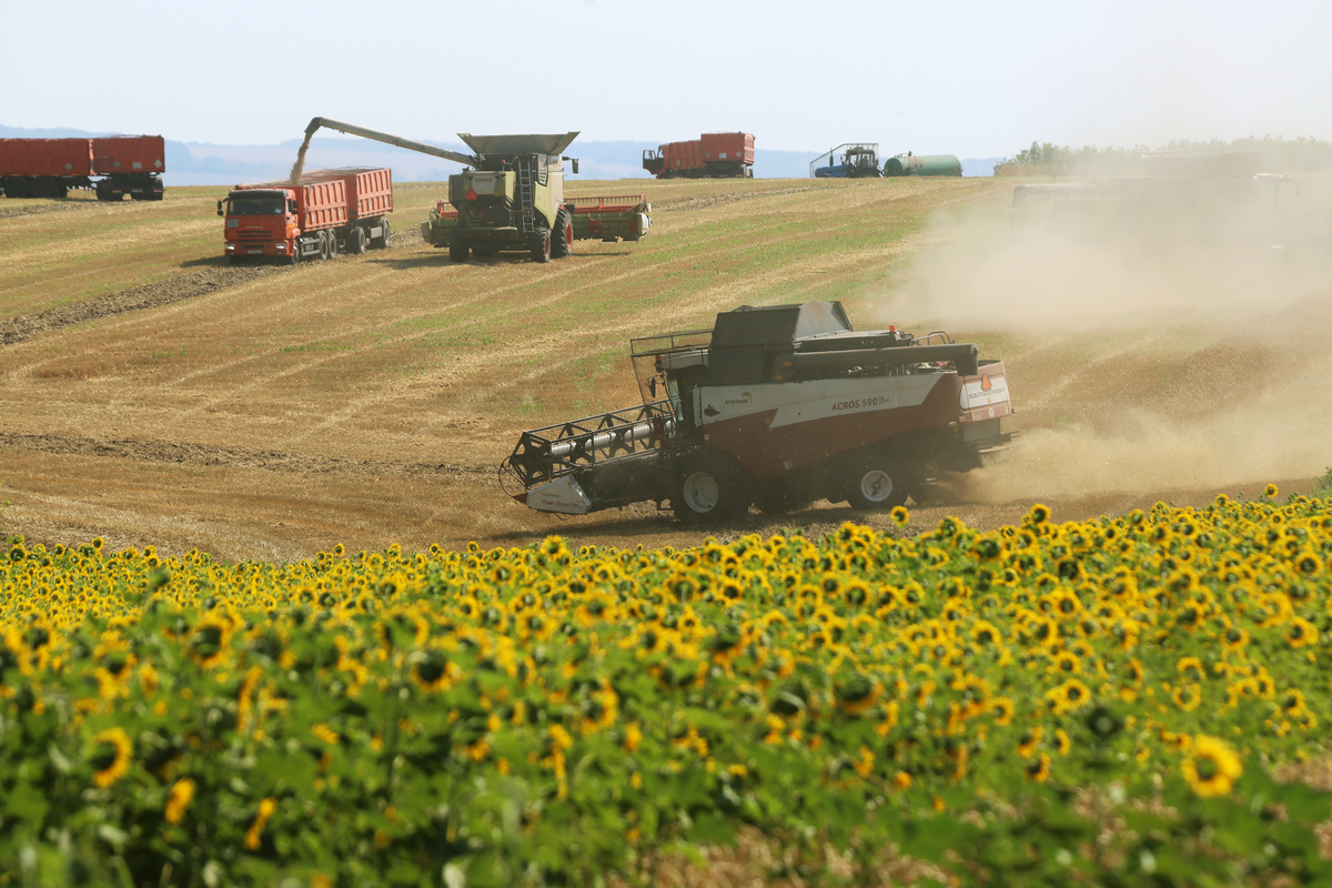 Фото: Nikolay Gyngazov/Global Look Press