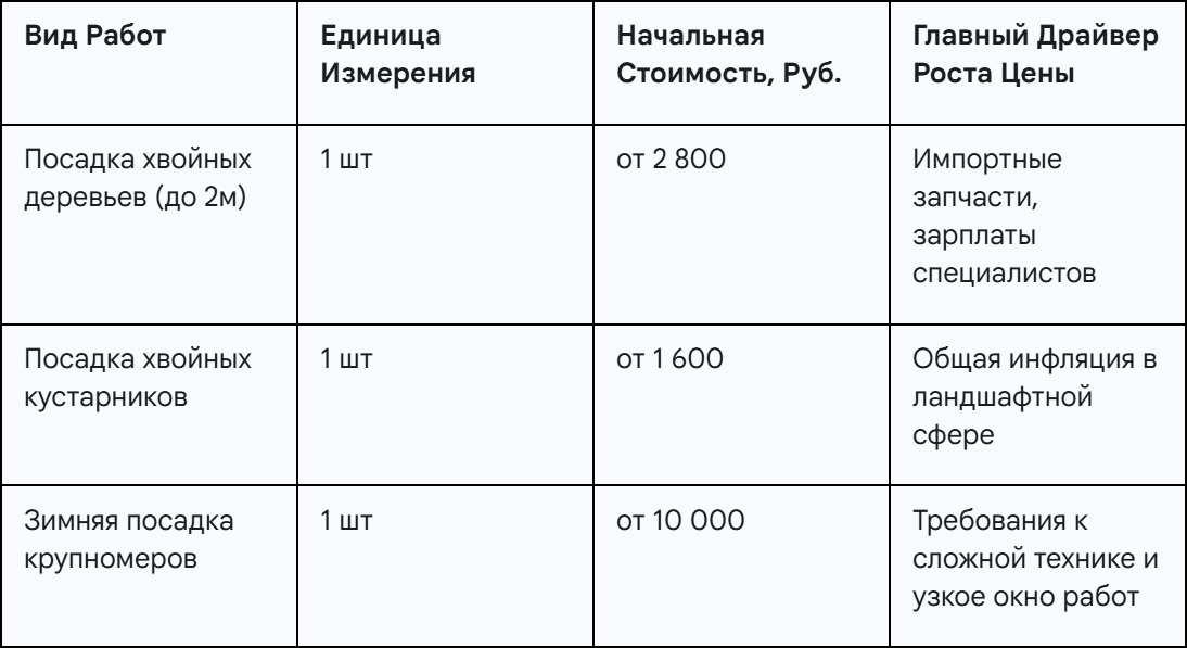 Актуальные цены на посадку хвойных (Ориентир 2024 г.)