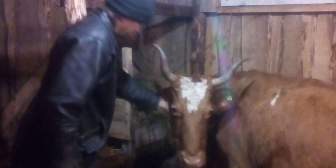 Как мы вляпались в сельское хозяйство.