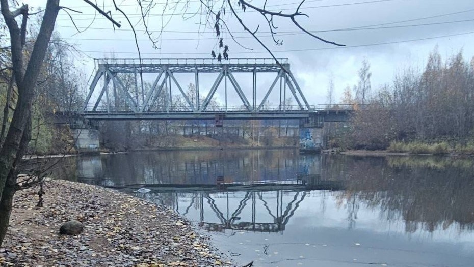 Автор фото: группа "Жители Гражданки" в соцсети "ВКонтакте"