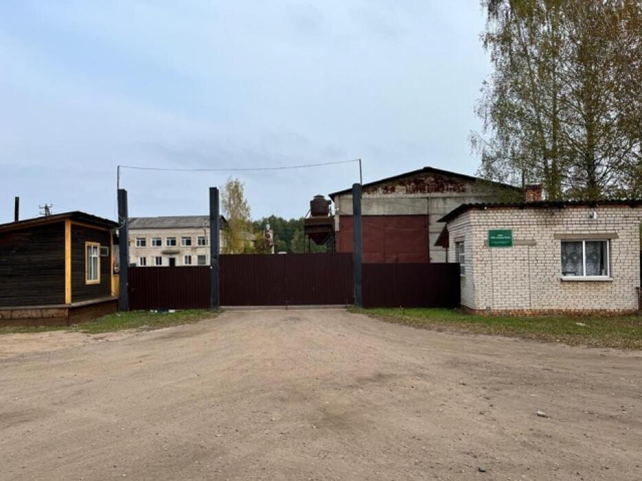 В Псковской области изъяли бухгалтерские документы по делу о злостной неуплате долгов
Фото: пресс-служба УФССП России по Псковской области