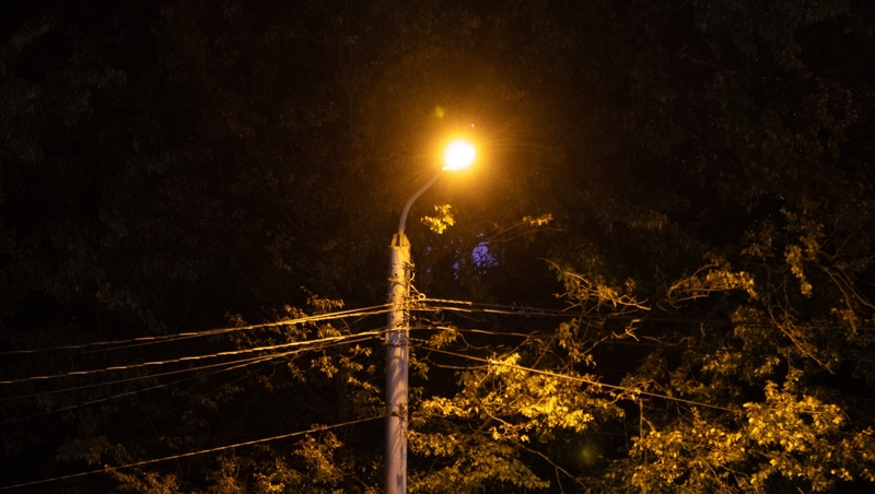      Фото: Валерия Алтухова / / ИА «Победа26»