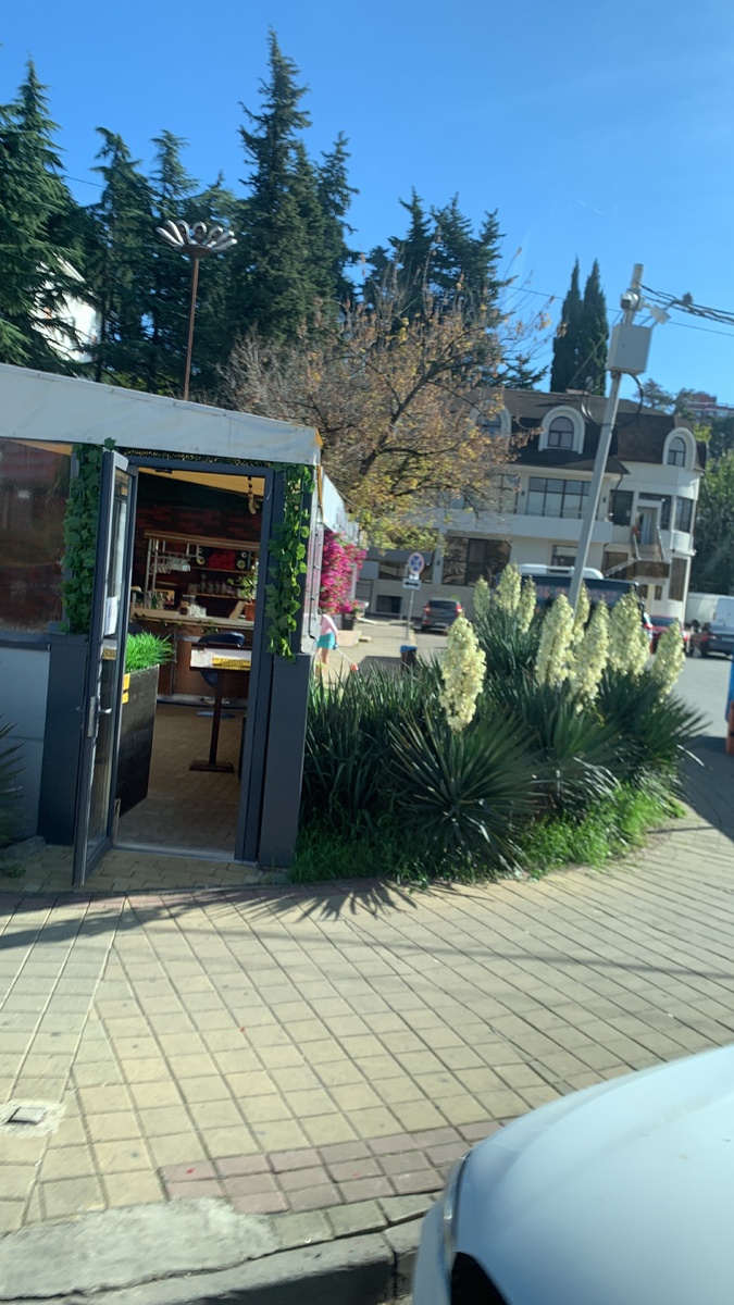 4 ноября 2015 г. Сочи