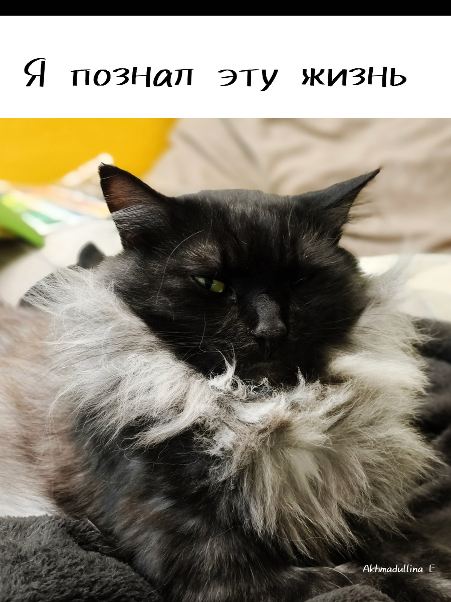 Кто бы сомневался 😎