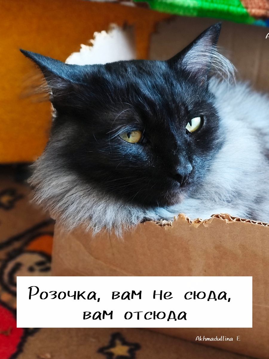 Взгляд всего отделения 