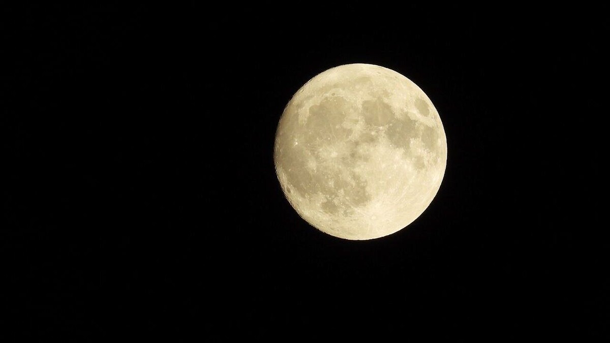    Фото: телеканал «Краснодар»