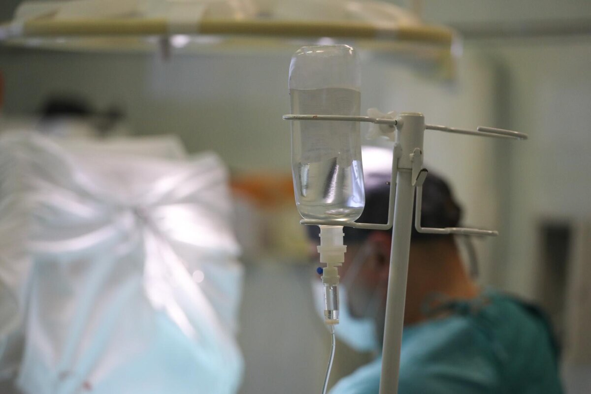 Фото: Александр Глуз / «Петербургский дневник»