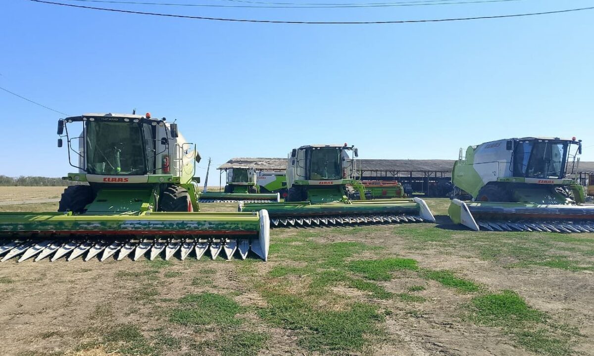    Фото пресс-службы министерства экономики Краснодарского края