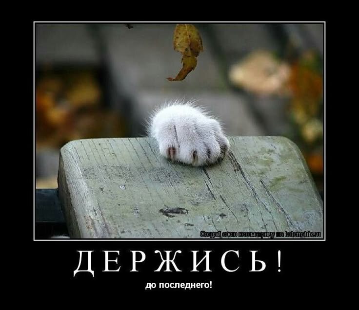 источник Яндекс-картинки