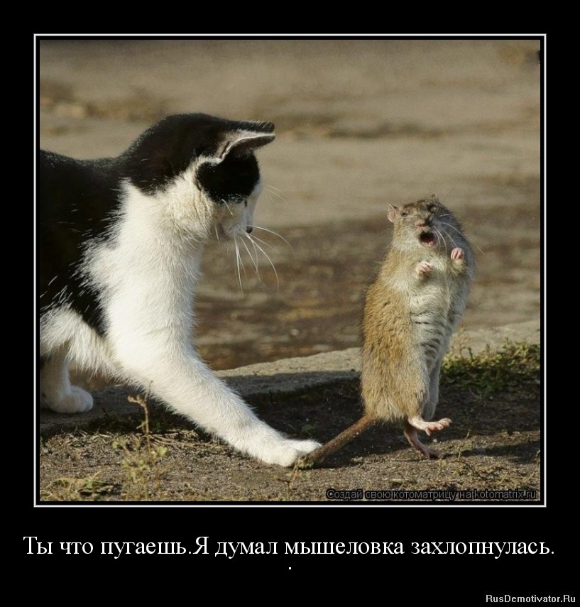 источник Яндекс-картинки