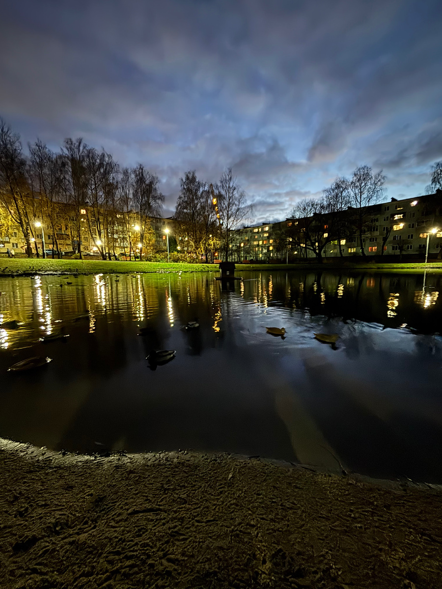 Вечерняя прогулка после вкусной еды) 