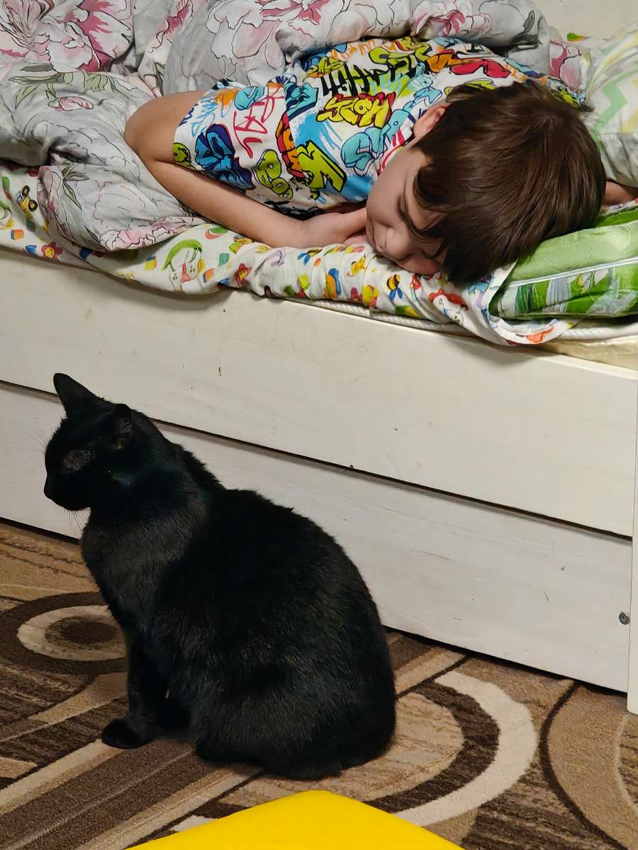 Королева Муся и её котëнок Степаша