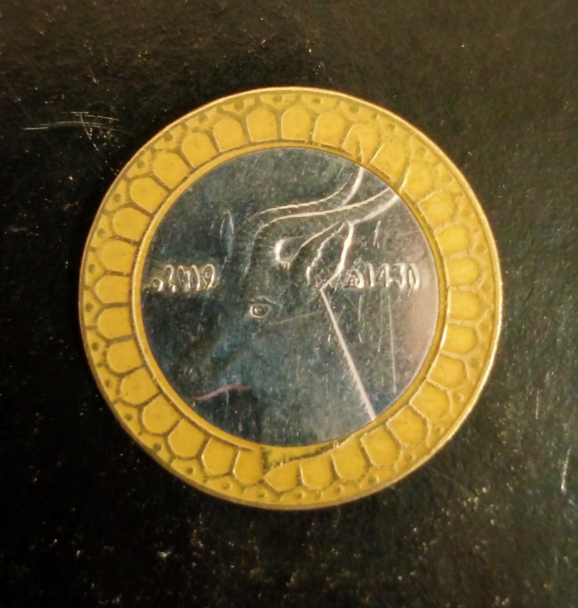 Реверс монеты 50 динаров 2009г. Алжир. Фото автора.